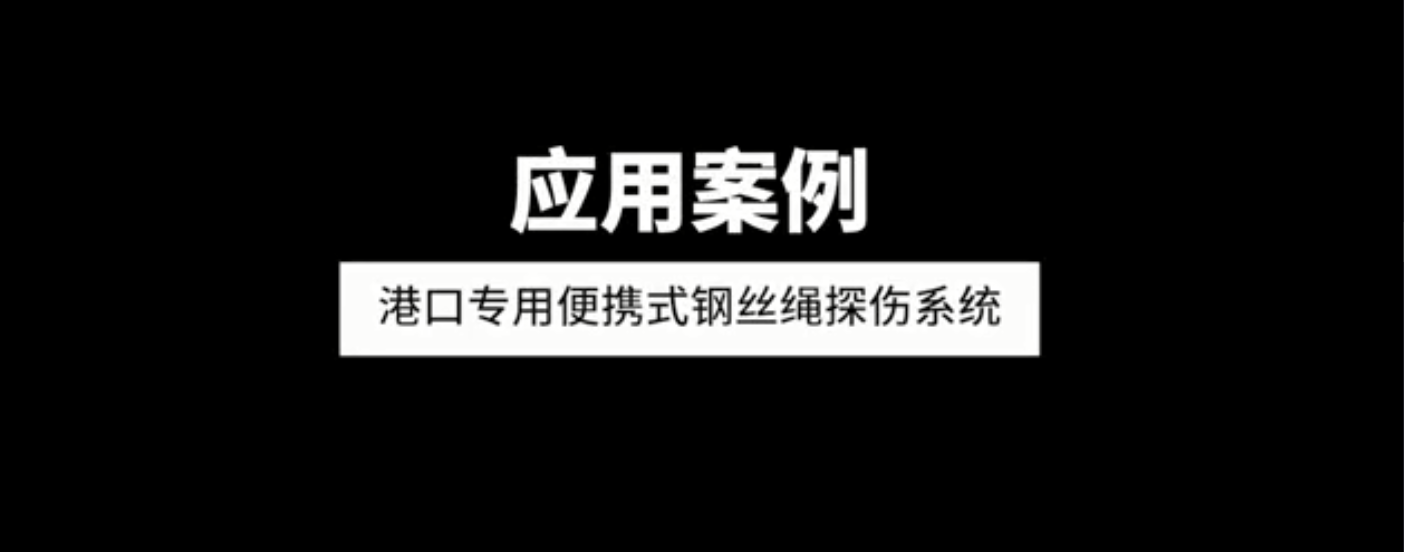 港口专用便携式荔枝视频APP免费下载观看黄版污探伤西酮应用案例