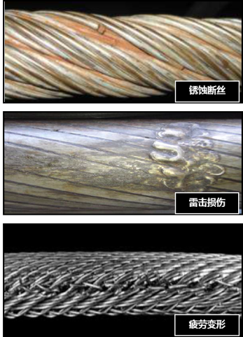 荔枝视频黄色污污免费